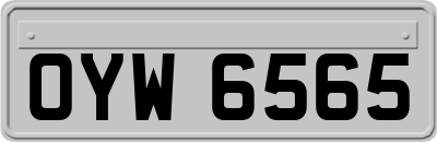 OYW6565