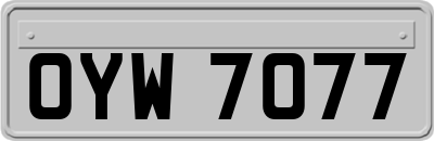OYW7077