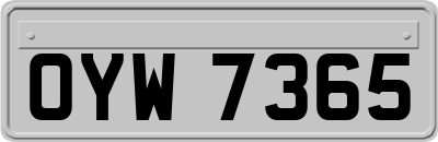 OYW7365