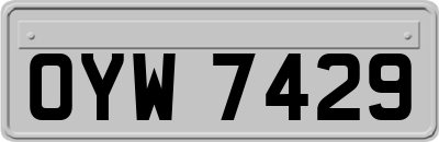 OYW7429