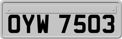 OYW7503