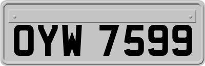 OYW7599