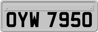 OYW7950