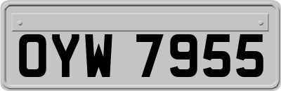 OYW7955