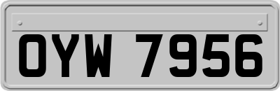 OYW7956