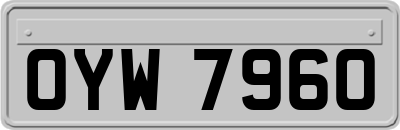 OYW7960