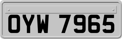 OYW7965