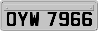 OYW7966