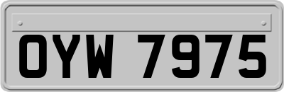 OYW7975