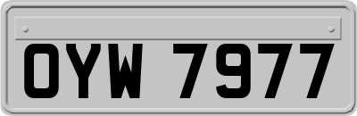 OYW7977