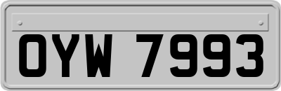 OYW7993
