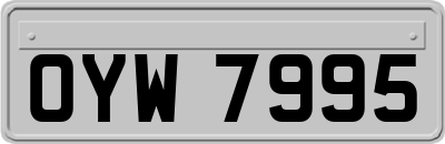 OYW7995