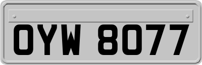 OYW8077