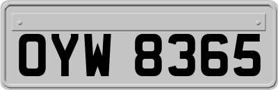 OYW8365