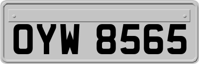 OYW8565