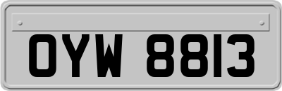 OYW8813