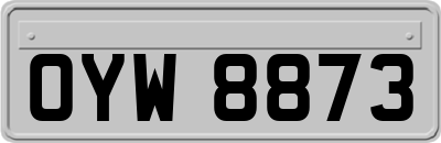 OYW8873