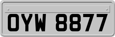 OYW8877
