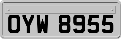 OYW8955