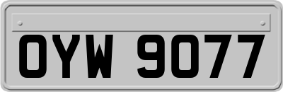OYW9077