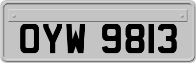 OYW9813