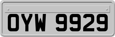 OYW9929