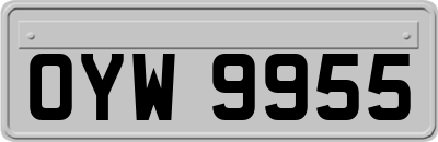 OYW9955