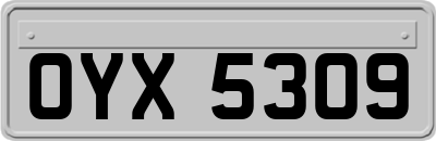 OYX5309