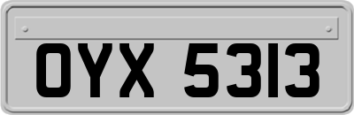 OYX5313