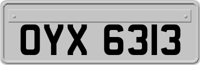 OYX6313