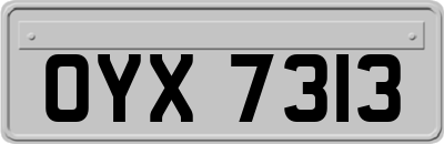 OYX7313