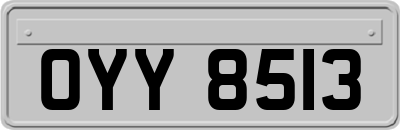 OYY8513