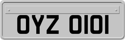 OYZ0101