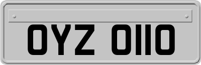 OYZ0110