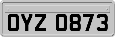 OYZ0873