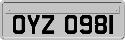 OYZ0981