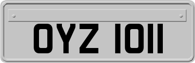 OYZ1011