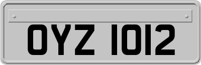 OYZ1012