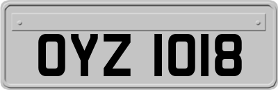 OYZ1018