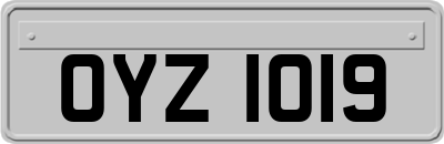 OYZ1019