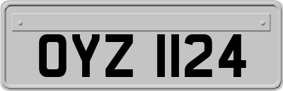 OYZ1124