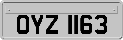 OYZ1163