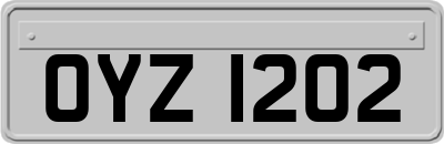 OYZ1202