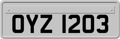 OYZ1203