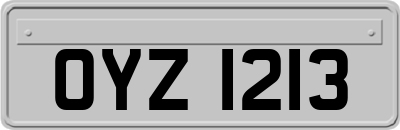 OYZ1213