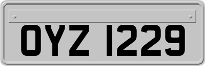 OYZ1229