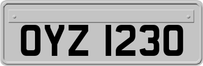 OYZ1230