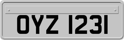 OYZ1231