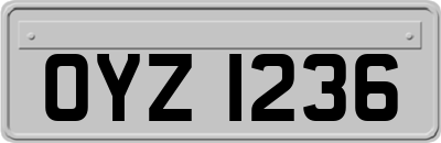 OYZ1236