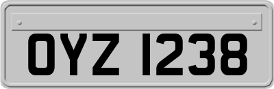 OYZ1238